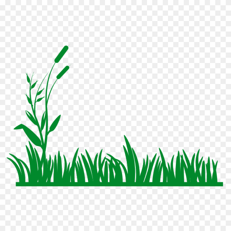 Garden, Grass, Green, Nature, Weed,