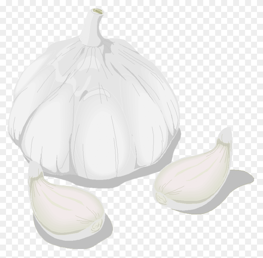 Garlic Png