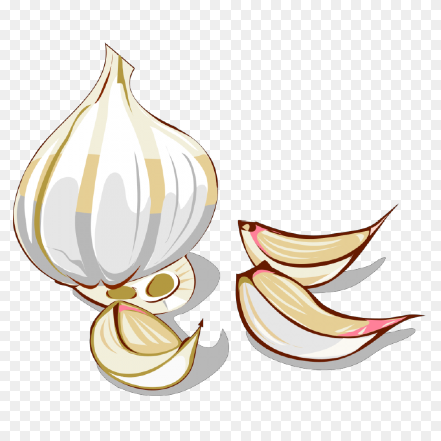 Garlic Png