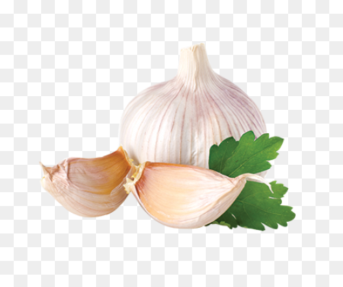 Garlic Png - Garlic