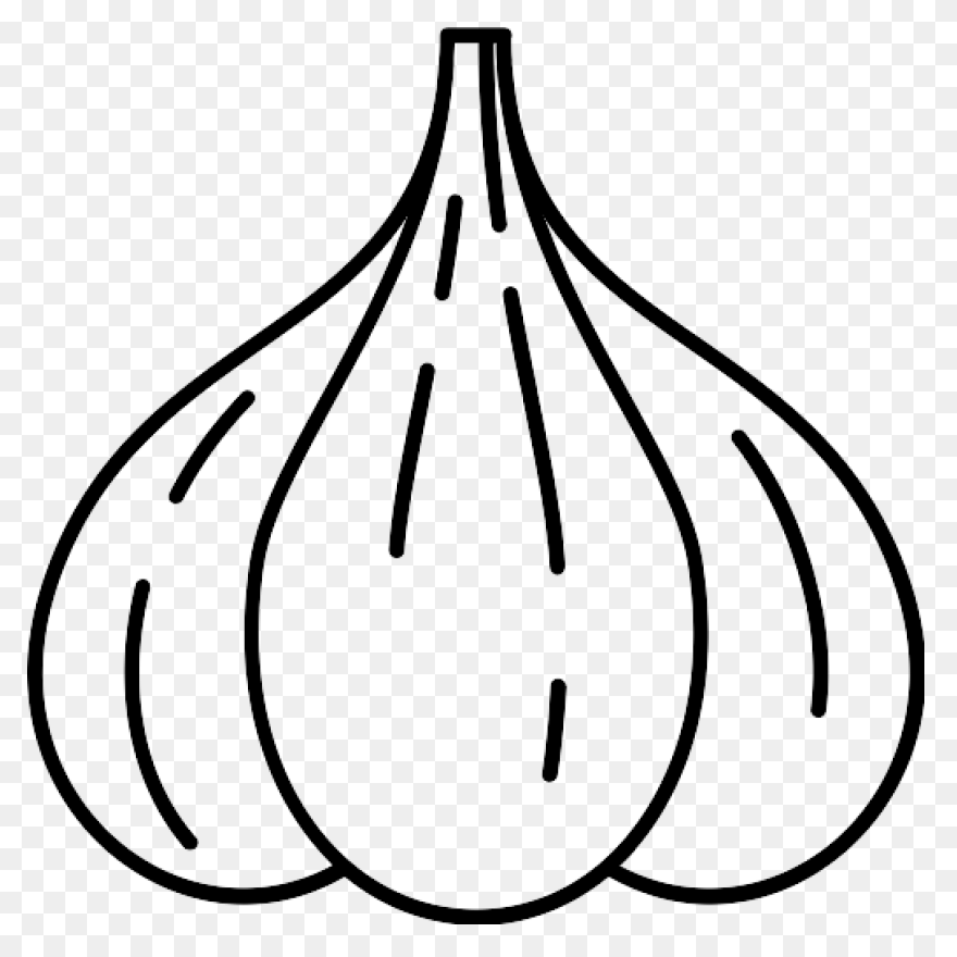Garlic PNG WebP Vectors And - Garlic