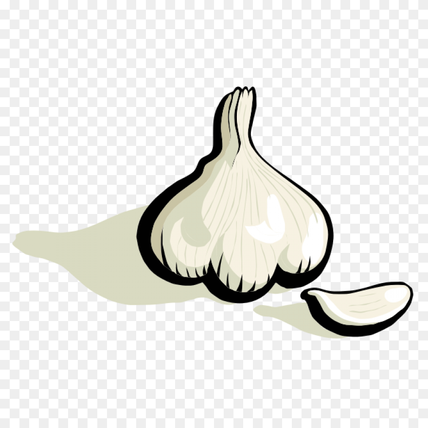 Garlic Png