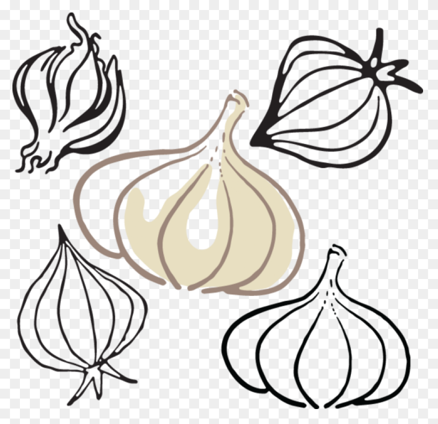 Garlic Png