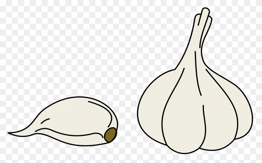Garlic Png