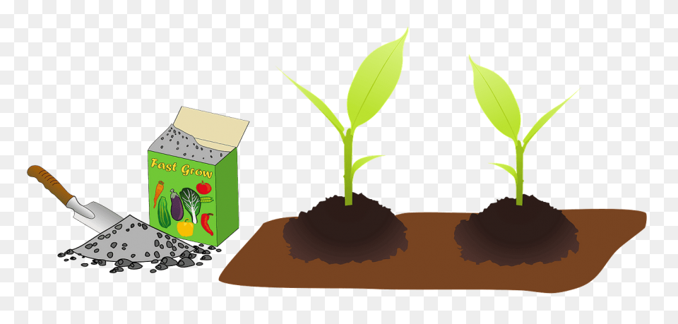 Download Flower Garden Clipart - Fl
