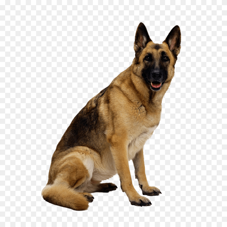 German Shepherd Clipart - Full Size