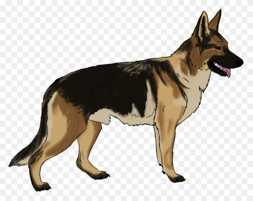 German Shepherd Clipart - Full Size