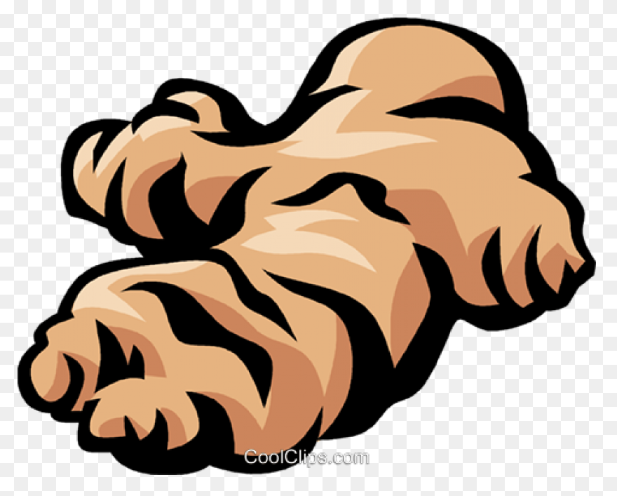 Ginger Root Essential Oil