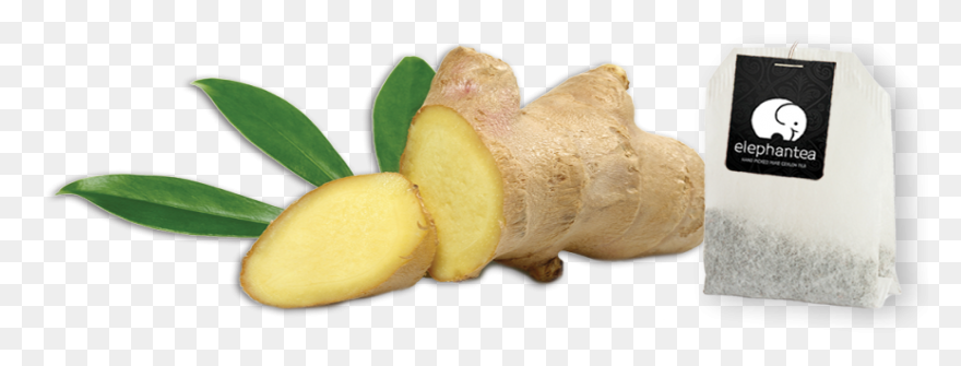 Ginger Root Essential Oil