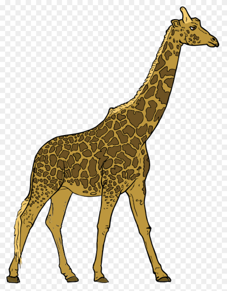 Giraffe Clipart. Free Download Tran