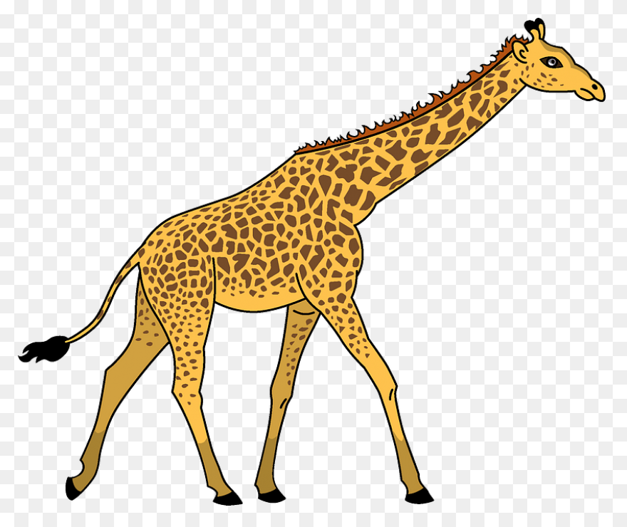 Giraffe Clipart. Free Download Tran