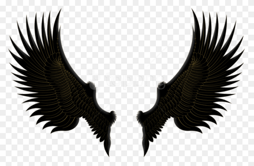 Download Hd Free Png Download - Gold Wings