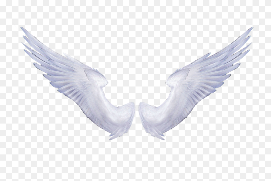 Gold Dust Wings | Roblox Wiki | Cli