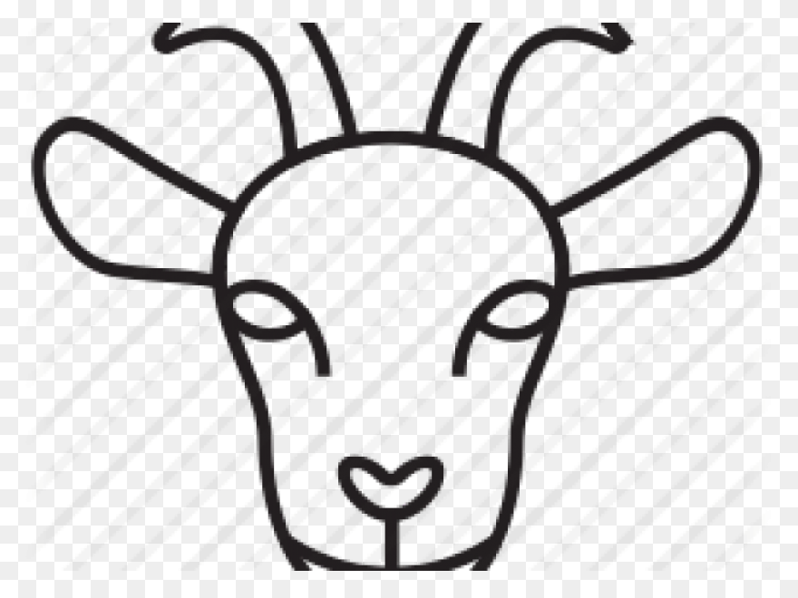 Boer Goat Head Drawing Horns - Goat Head