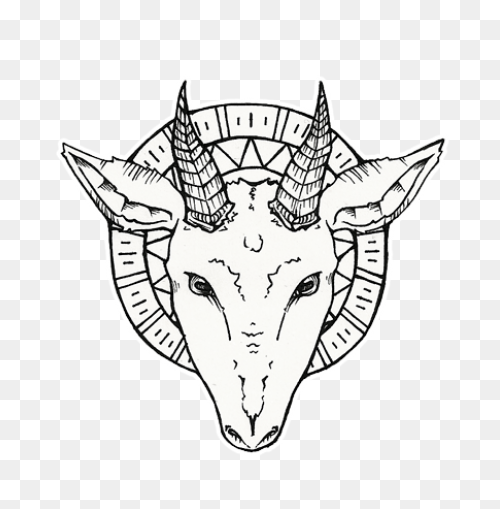 Head Chevon Goat Qurbani Bakra - Goat Head