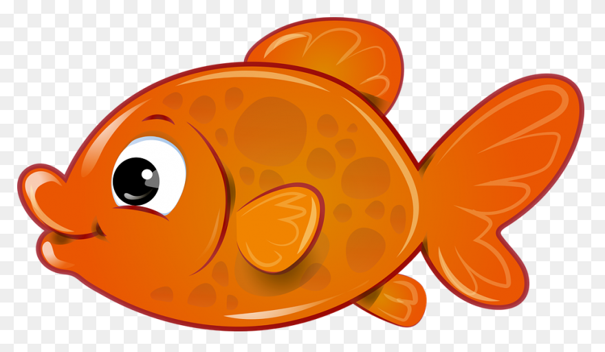 Gold Fish Png Clipart | Fish, Goldf