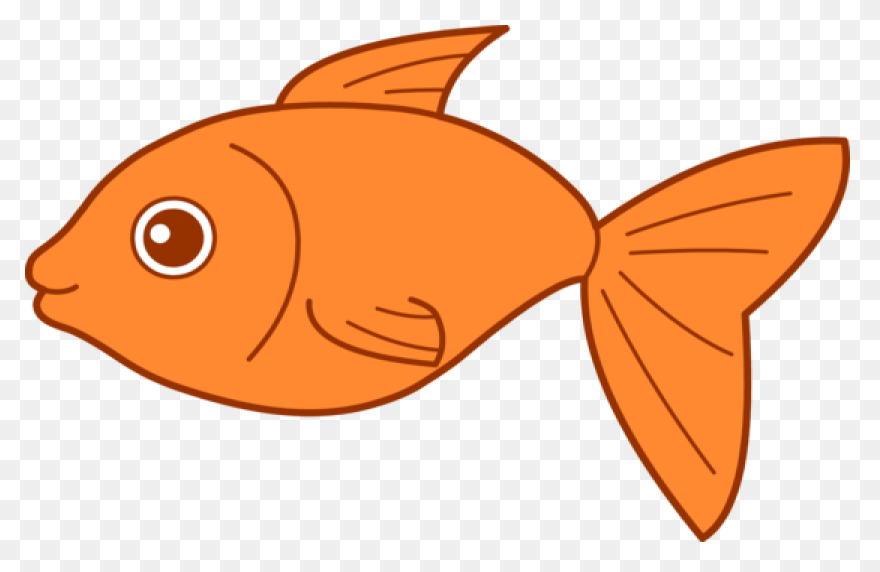 Gold Fish Png Clipart | Fish, Goldf