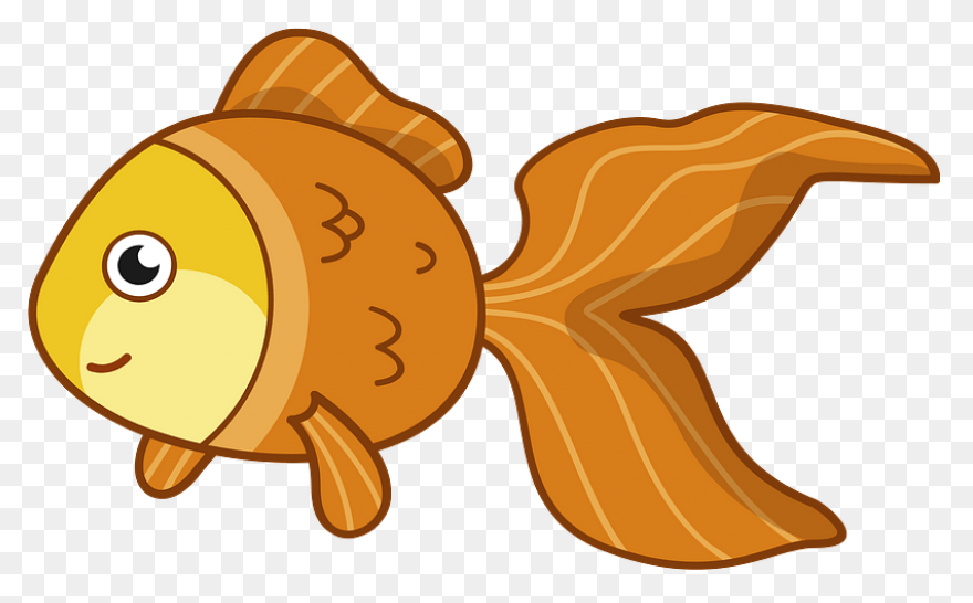 Goldfish Clipart. Free Download .png - Gold Fish