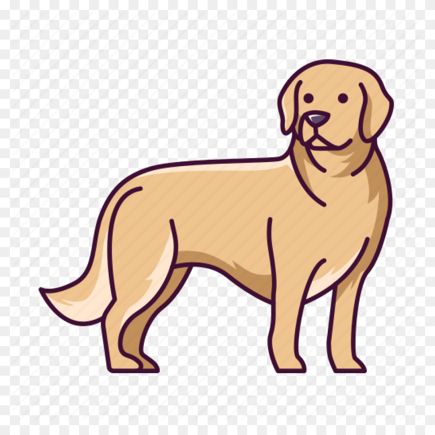 Dog - Golden Retriever | Free PNG-W