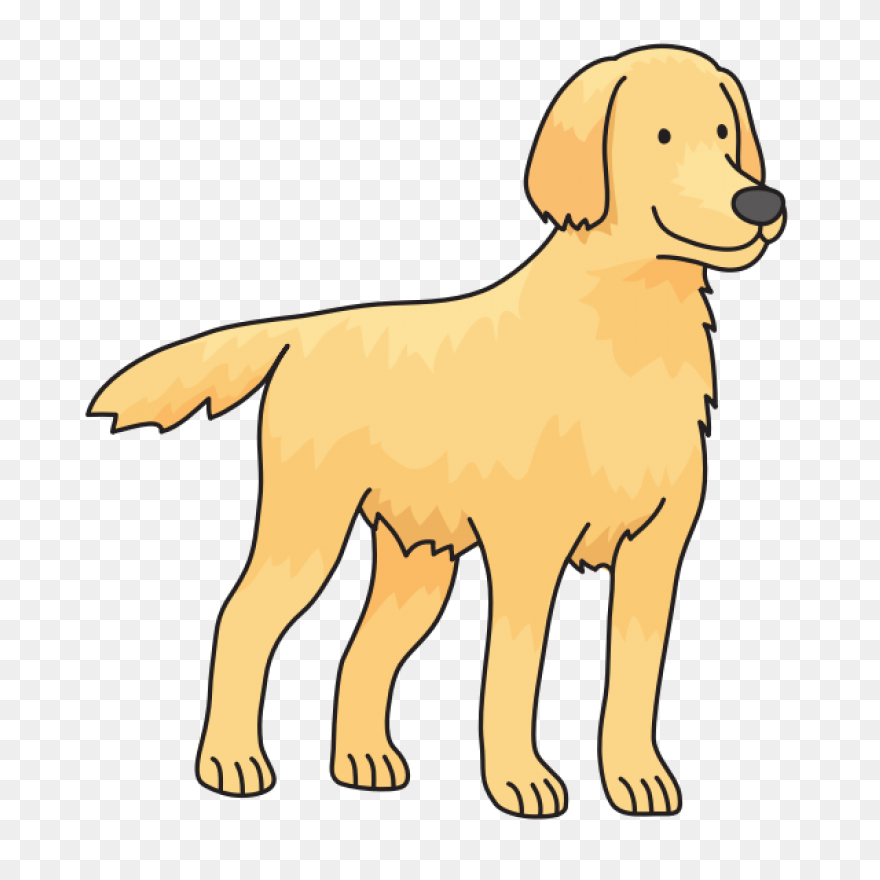 Dog Golden Retriever | Free - Golden Retriever