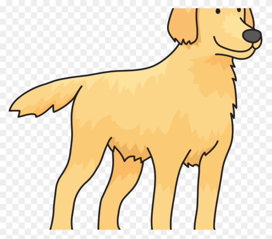 Dog - Golden Retriever | Free PNG-W