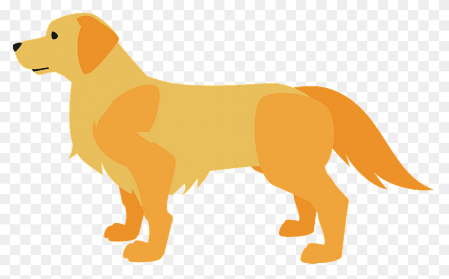 Dog - Golden Retriever | Free PNG-W