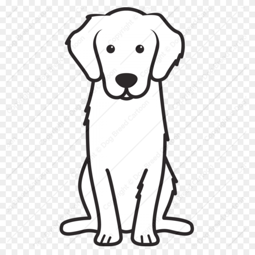 Dog - Golden Retriever | Free PNG-W