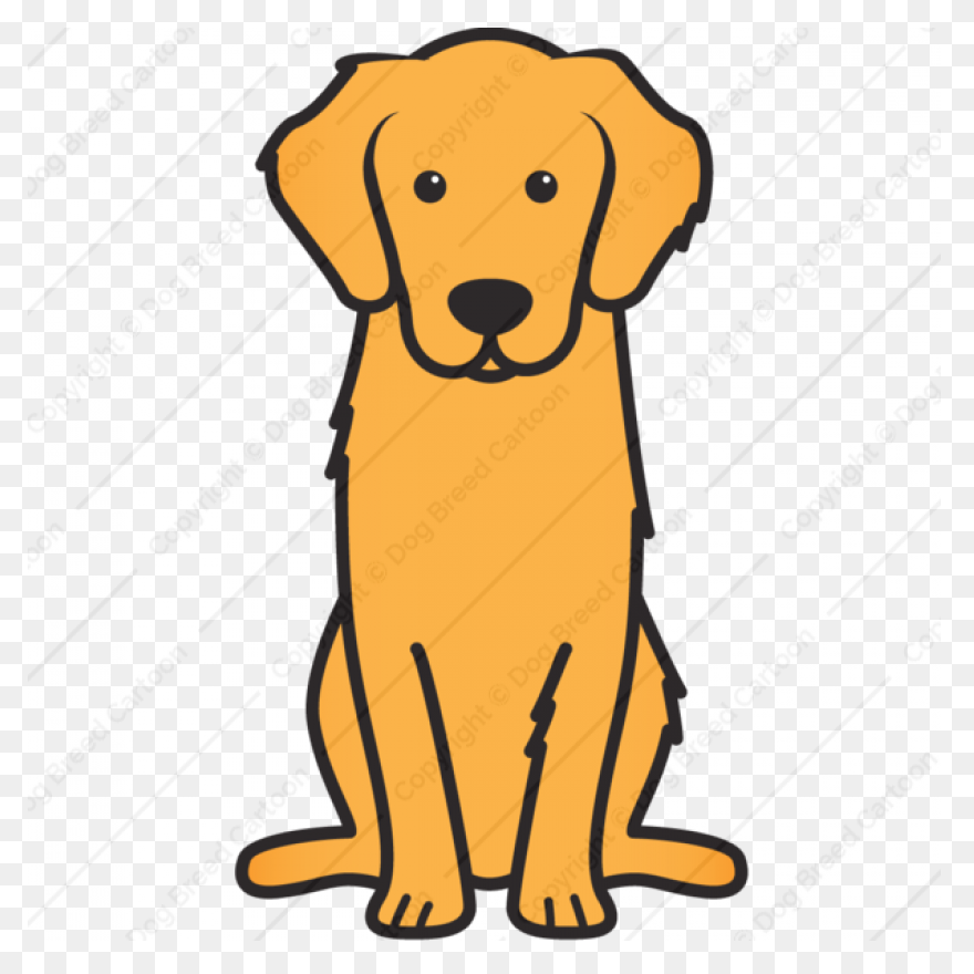 Dog - Golden Retriever | Free PNG-W