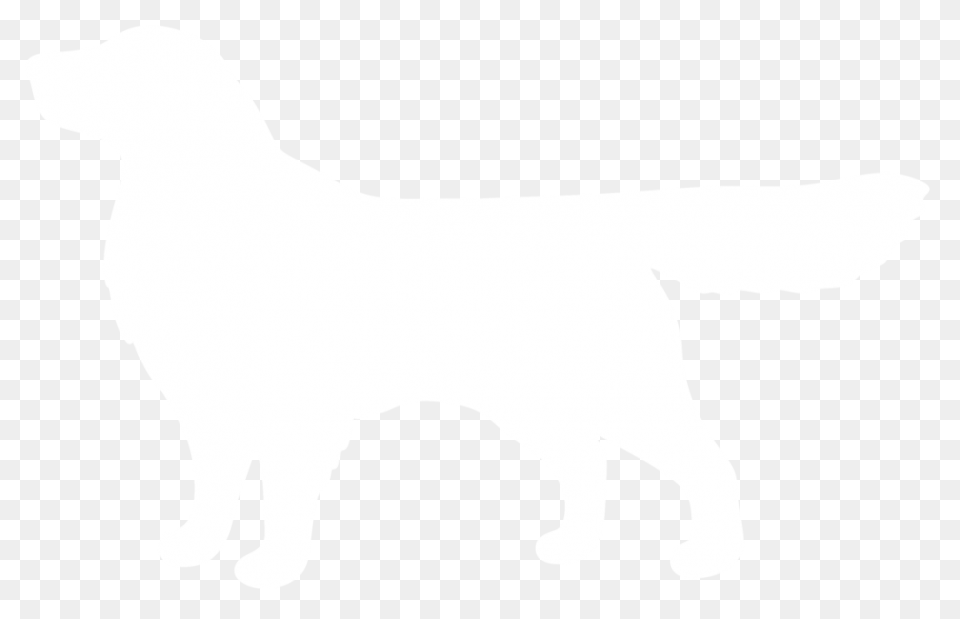 Dog - Golden Retriever | Free PNG-W