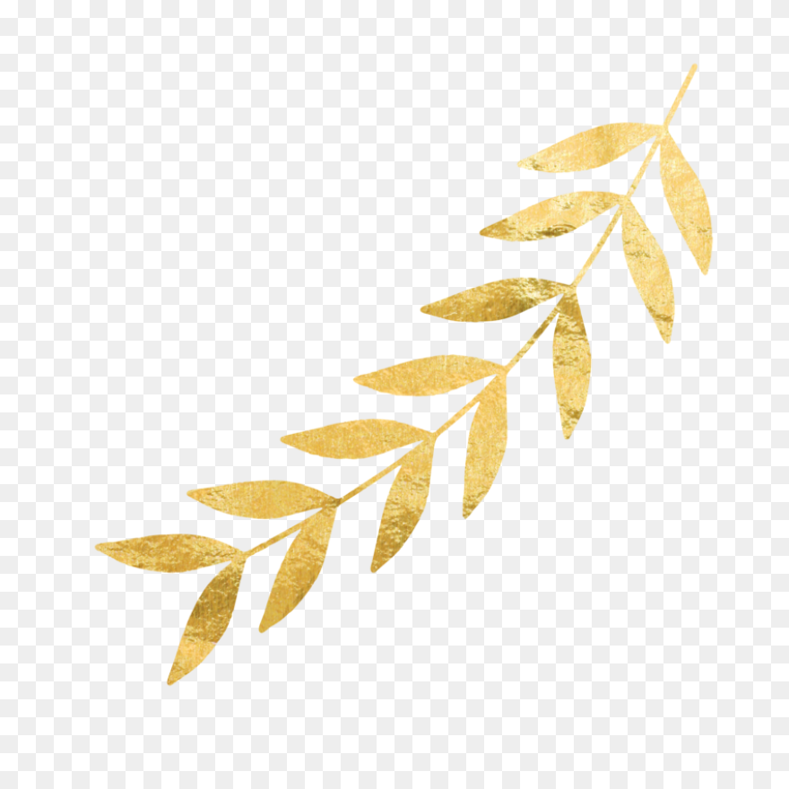 24K Gold Foil Edible Gold Leaf Shee