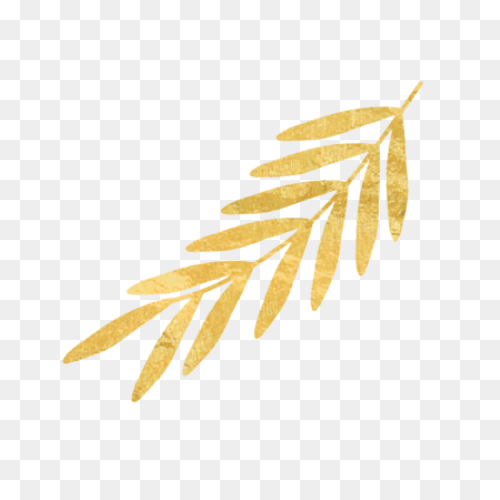 24K Gold Foil Edible Gold Leaf Shee