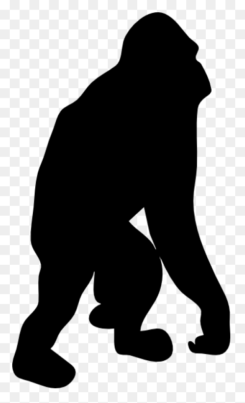 Gorilla Cartoon Transparent Backgro