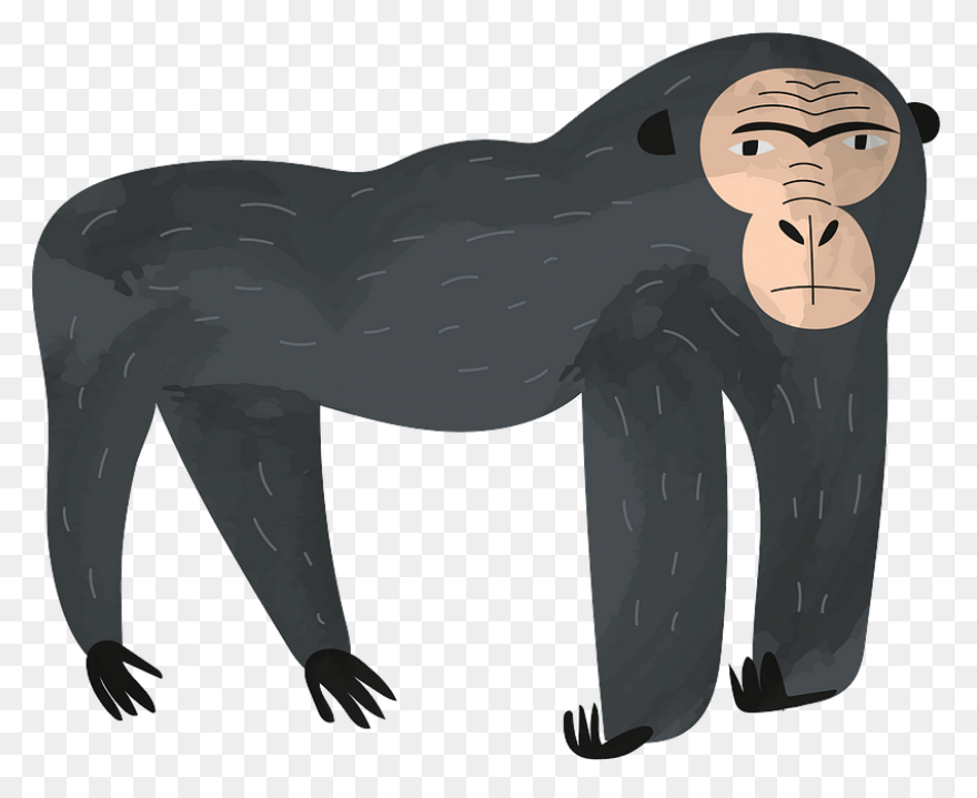 Gorilla Cartoon Transparent Backgro
