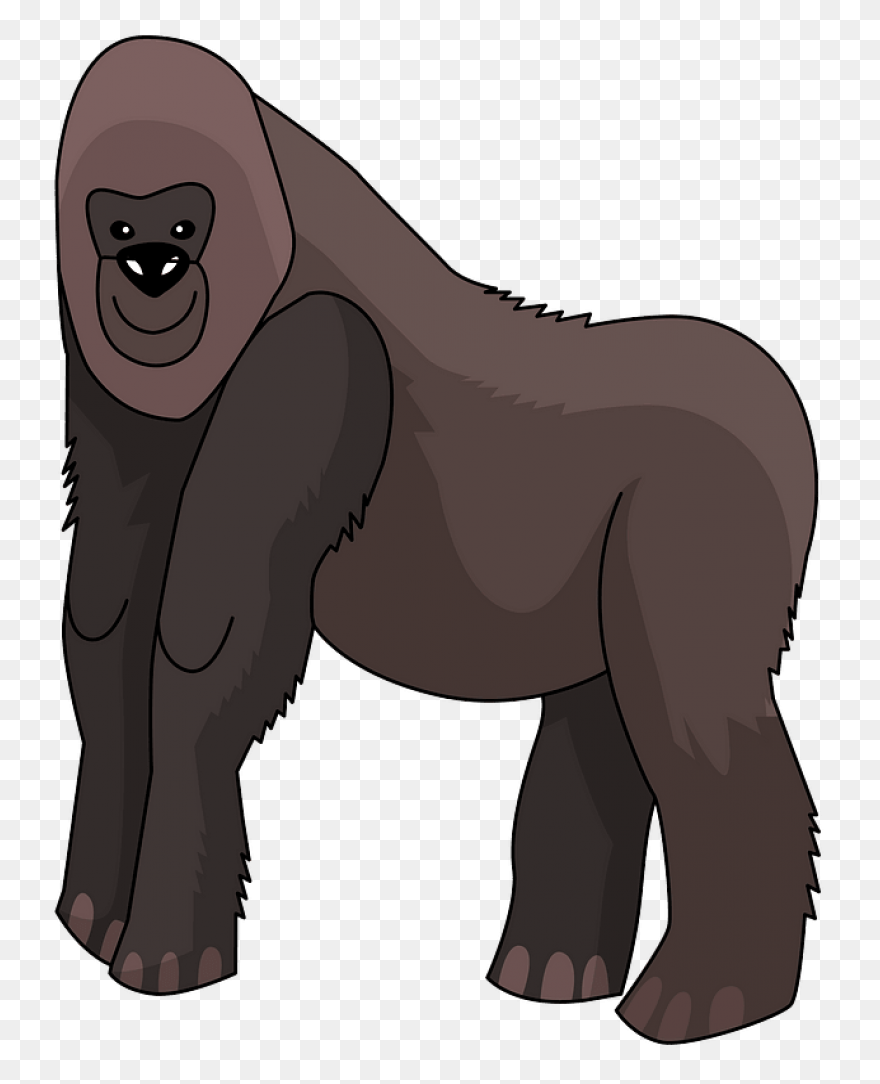 Gorilla Cartoon Transparent Backgro