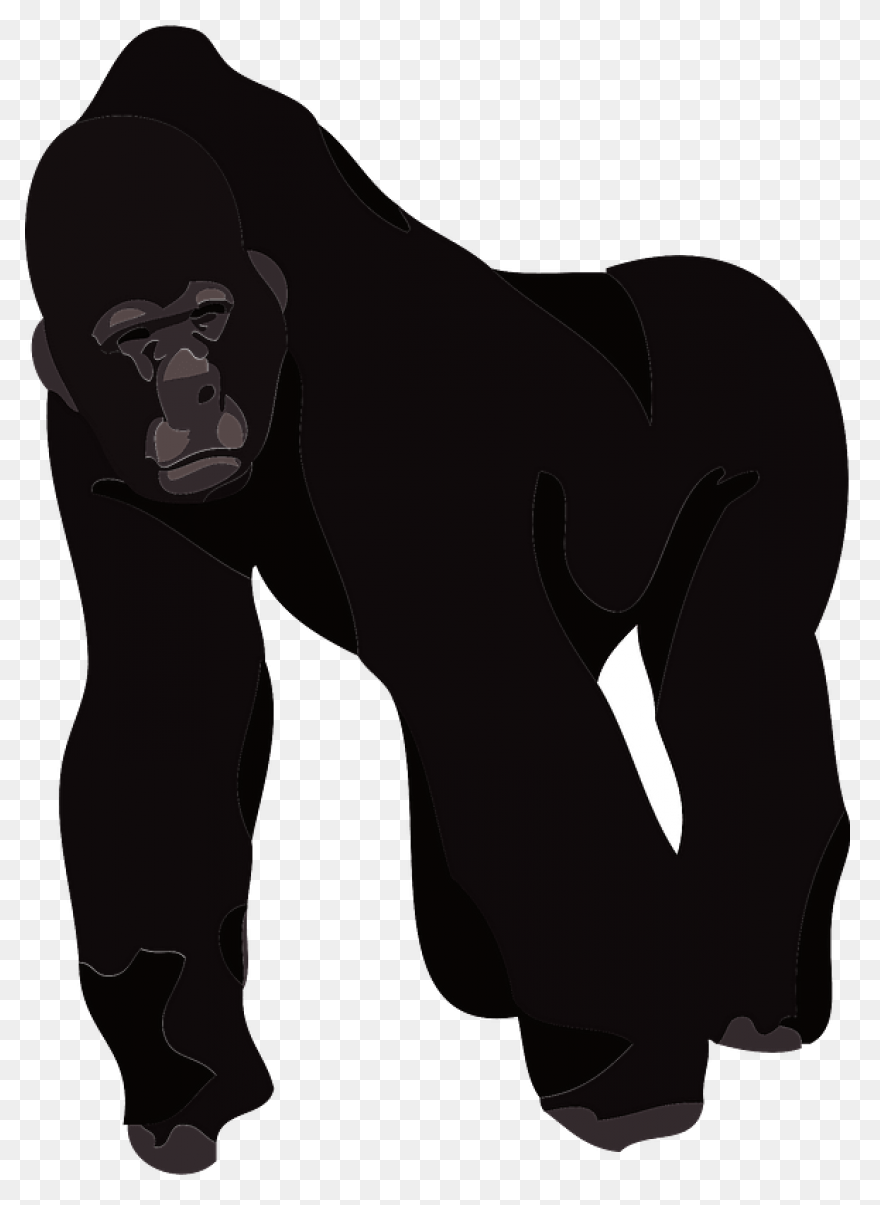 Gorilla Cartoon Transparent Backgro