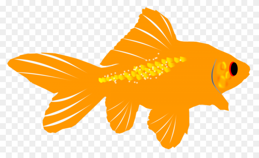 Fish Fish Tail Goldfish Clipart - Goldfish