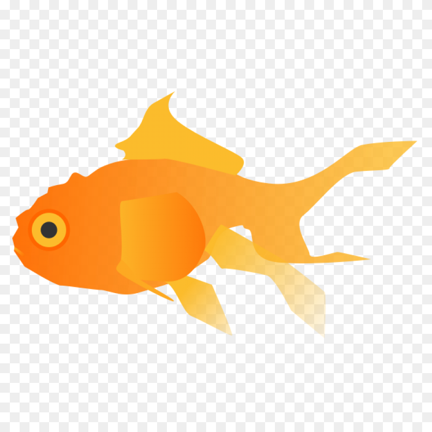 Fish Fish Tail Goldfish Clipart - F