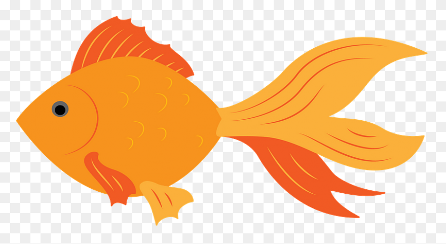 Goldfish Clipart. Free Download .png - Goldfish