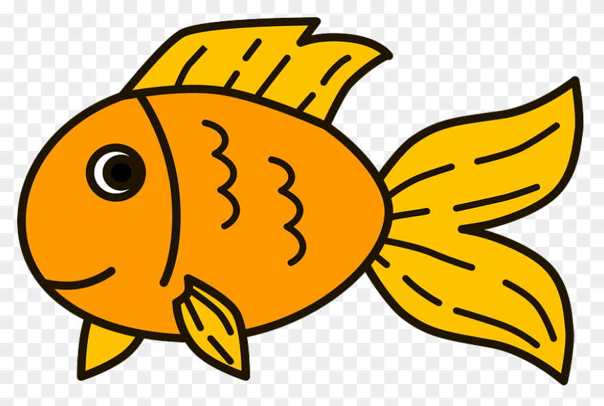 Goldfish Clipart. Free Download .png - Goldfish