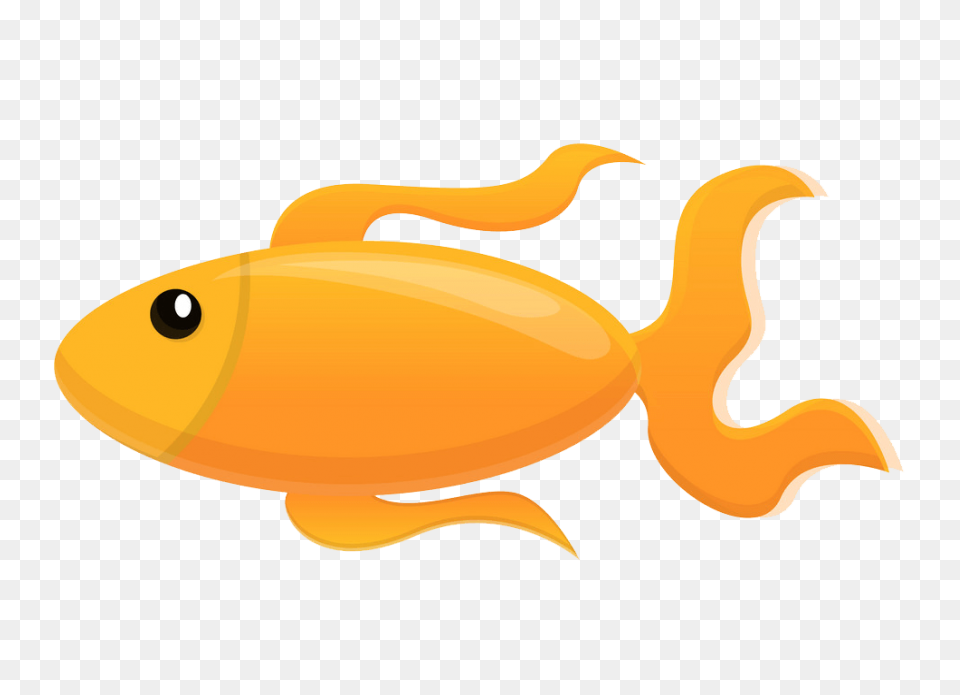 Fish Fish Tail Goldfish Clipart - F