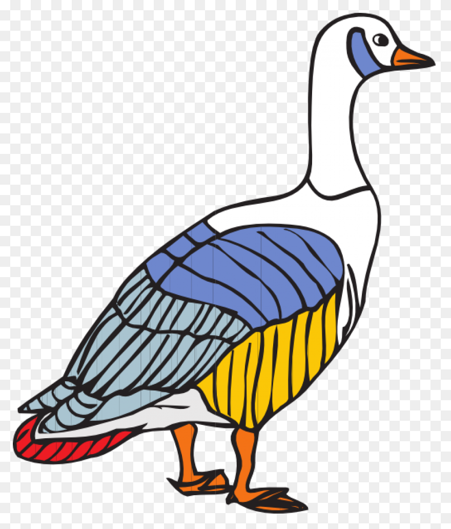Animal, Beak, Bird, Canada Goose, F