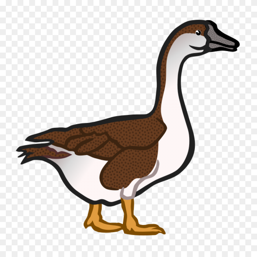 Animal, Beak, Bird, Canada Goose, F