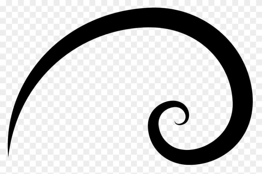 Golden Ratio Spiral Stylized  - Golden Ratio