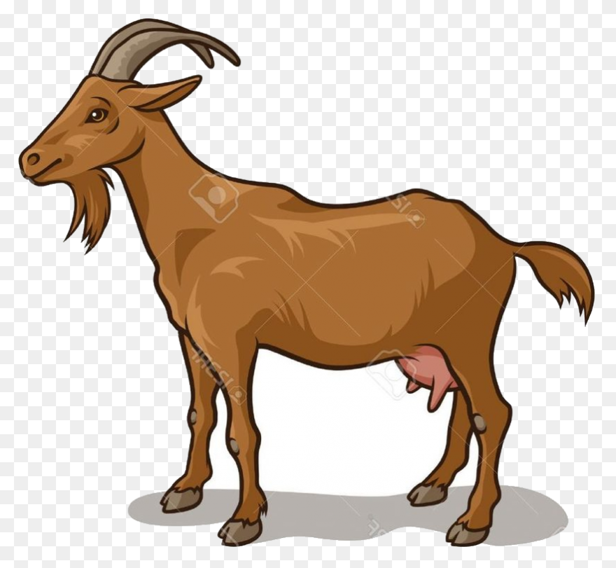 File:goat Cartoon 04.PNG-WebP - Wik