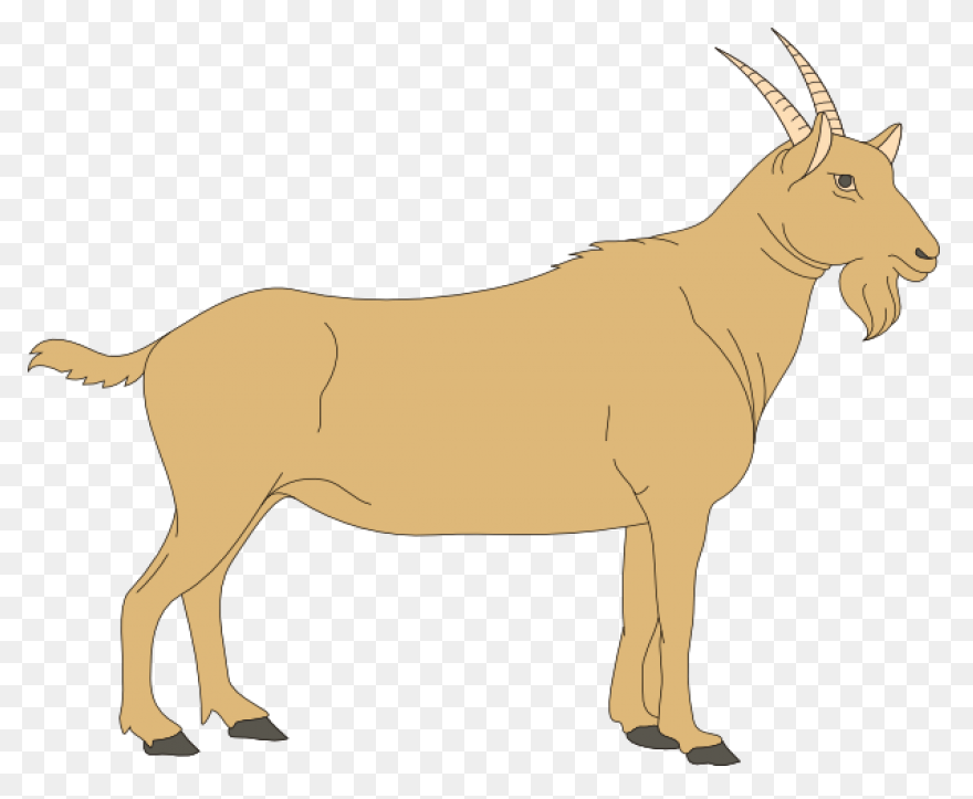 File:goat Cartoon 04.PNG WebP Wikipedia - Goat