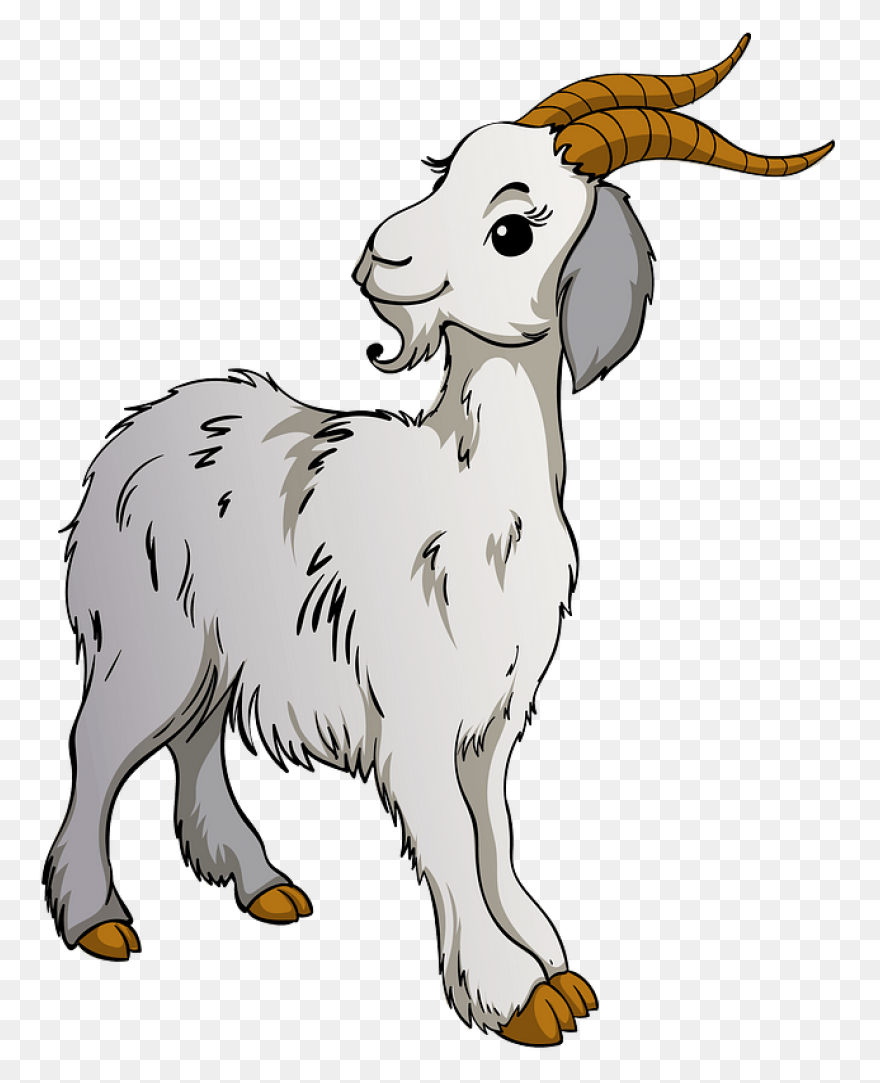 File:goat Cartoon 04.PNG-WebP - Wik