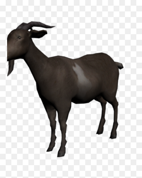 File:goat Cartoon 04.PNG-WebP - Wik