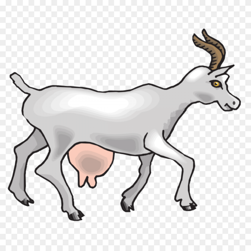 File:goat Cartoon 04.PNG-WebP - Wik