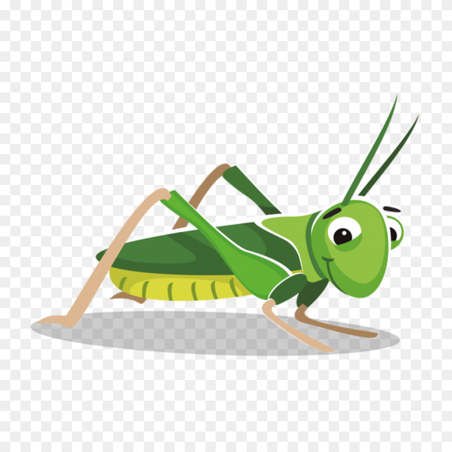Cartoon Grasshopper | Free PNG-WebP
