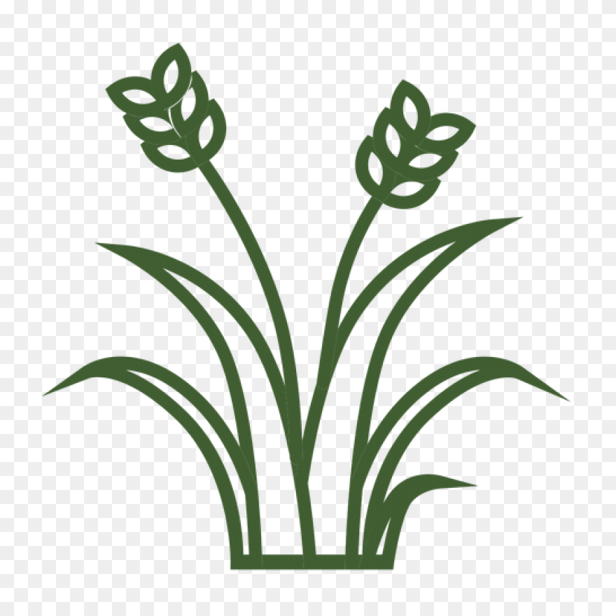 Vines & Grass Vector Image | Fr